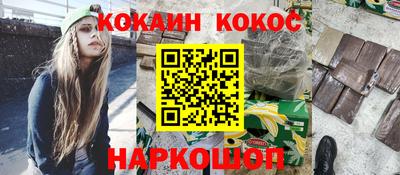 гашик Тверь