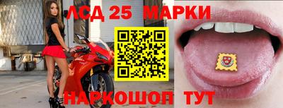 гашик Тверь