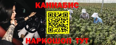 гашик Тверь