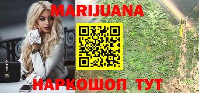 гашик Тверь