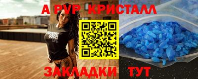 гашик Тверь